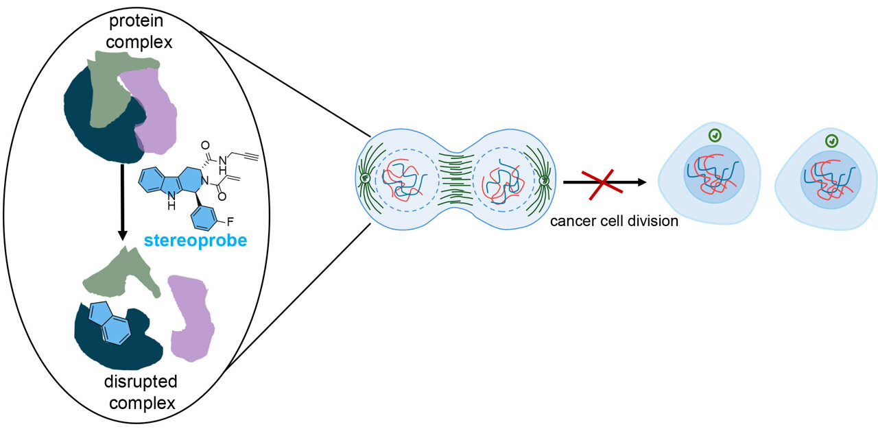 AI Cancer Treatment Advances