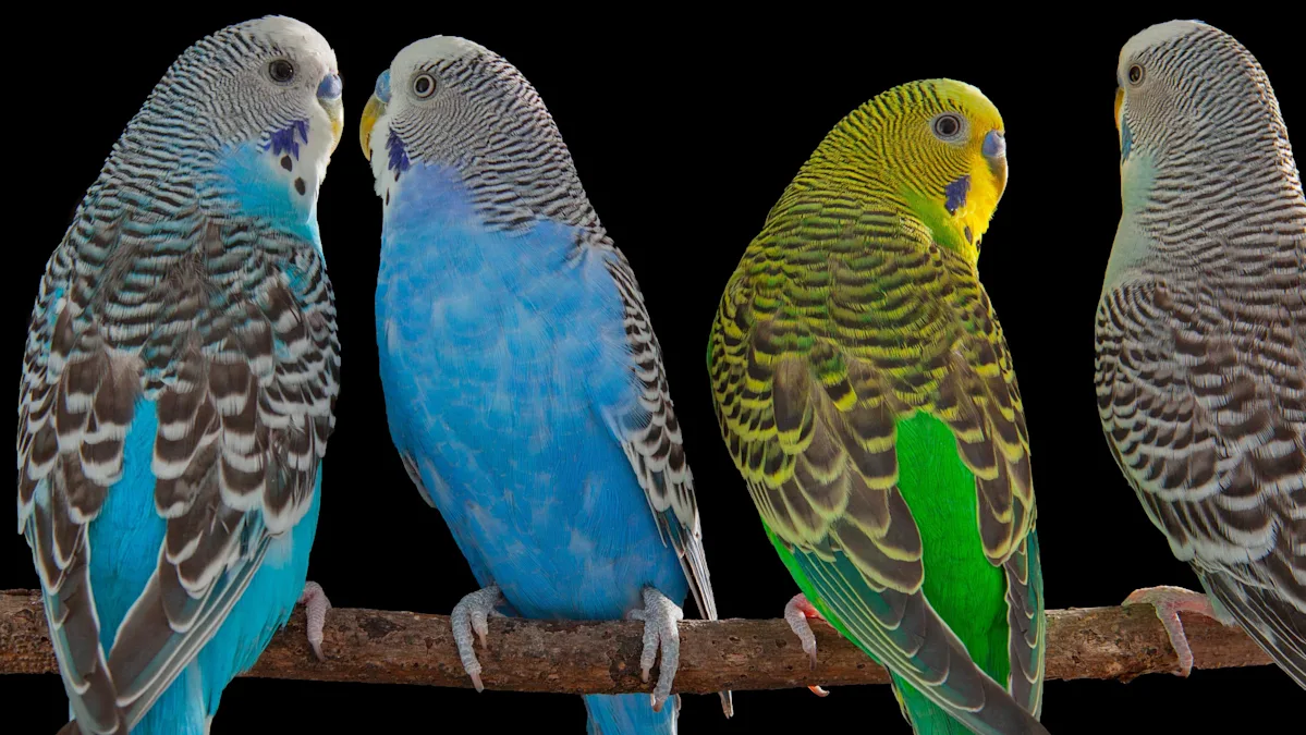 Exploring Quantum Biology, Baby Memories, and Parrot Speech Mysteries