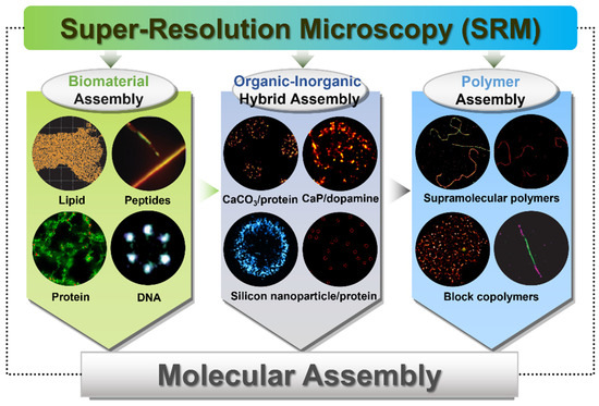 Revolutionizing Tissue Imaging with SPAD-Powered High-Resolution Microscopy