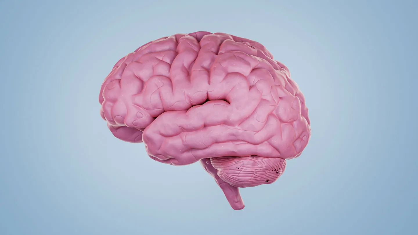 Protein Signatures to Detect Brain Diseases Before Symptoms Appear
