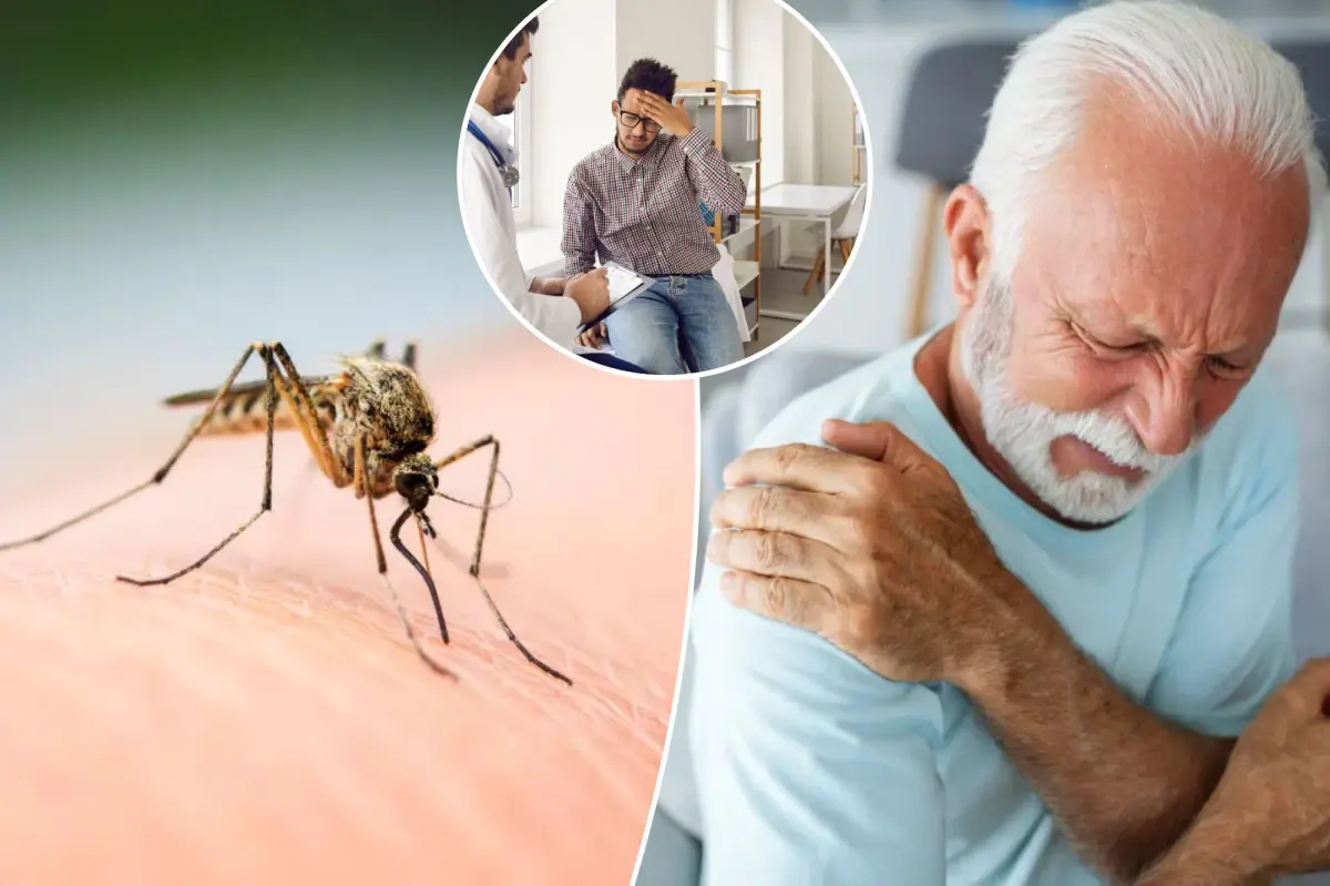 Can Chikungunya Virus Spread to the US? Essential Facts for Americans