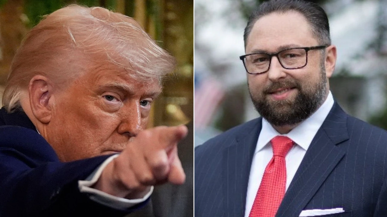 Miller vs Schiller Reveals Who Truly Understands Trump Best